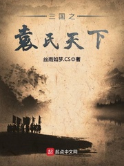 三国之袁氏天下最新章节