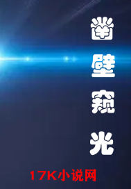 凿壁窥光最新章节