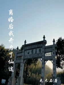 离婚后我开启了仙途最新章节