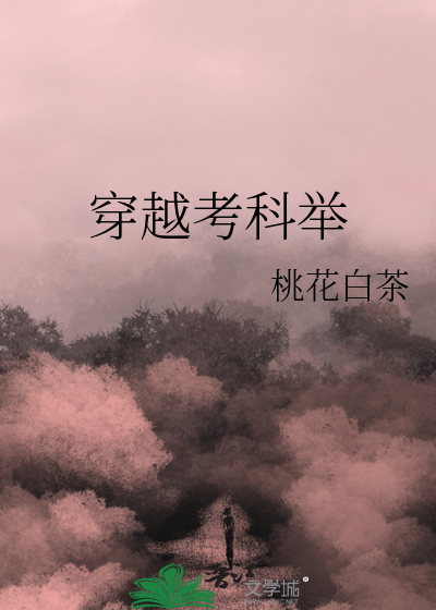 穿越考科举最新章节