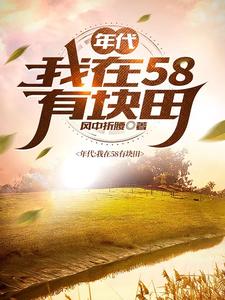 年代：我在58有块田最新章节