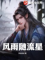 风雨随流星最新章节