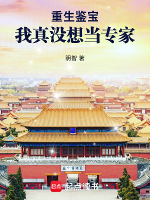 重生鉴宝：我真没想当专家最新章节