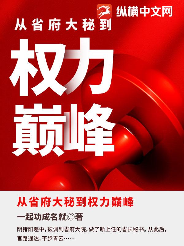 从省府大秘到权力巅峰最新章节