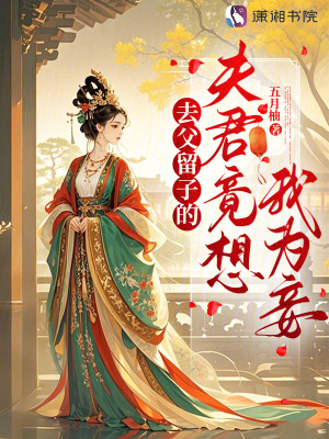 去父留子的夫君竟想我为妾最新章节