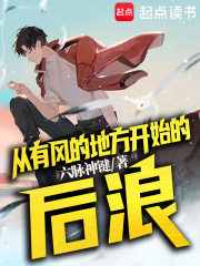 从有风的地方开始的后浪最新章节
