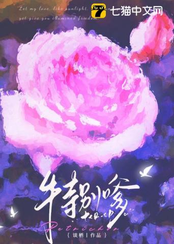 不务正夜最新章节