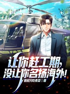 让你赶工期，没让你名扬海外！最新章节