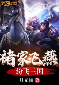 褚家飞燕纷飞三国最新章节