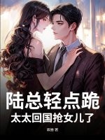 陆总轻点跪，太太回国抢女儿了最新章节