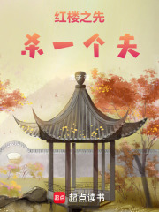 红楼之先杀一个夫最新章节