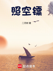 照空镖最新章节