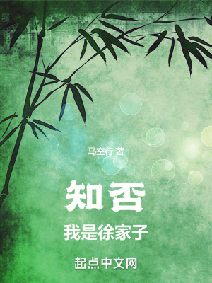 知否：我是徐家子最新章节