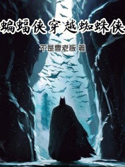 蝙蝠侠穿越蜘蛛侠最新章节