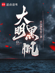 大明黑帆最新章节