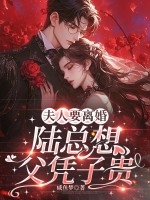 夫人要离婚，陆总想父凭子贵最新章节