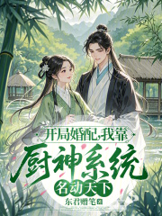 开局婚配，我靠厨神系统名动天下最新章节