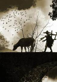 你好老刘最新章节