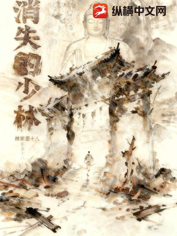 消失的少林最新章节