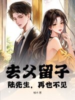 去父留子，陆先生，再也不见！最新章节