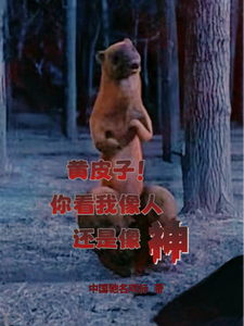 黄皮子！你看我像人还是像神？最新章节