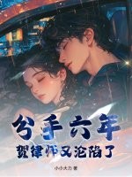分手六年，贺律师又沦陷了最新章节