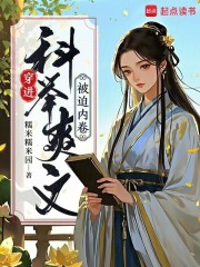 穿进科举爽文被迫内卷最新章节