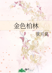 金色柏林最新章节