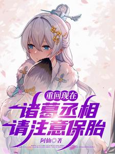 重回现在：诸葛丞相，请注意保胎最新章节