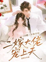 冷婚三年你不爱，二嫁大佬宠上天最新章节