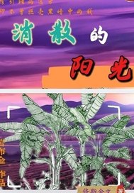 消散的阳光最新章节