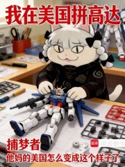 我在美国拼高达最新章节