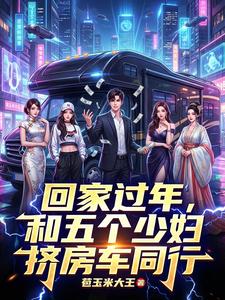 回家过年，和五个少妇挤房车同行最新章节