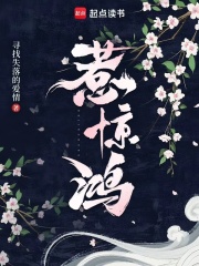 惹惊鸿最新章节