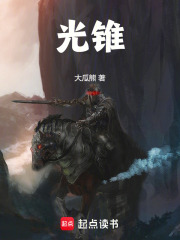 光锥最新章节