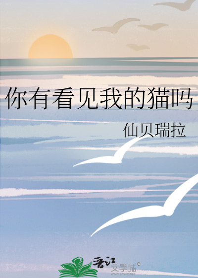 你有看见我的猫吗最新章节