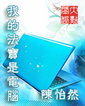 我的法宝是电脑最新章节