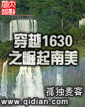 穿越1630之崛起南美最新章节