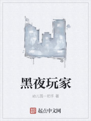 黑夜玩家最新章节