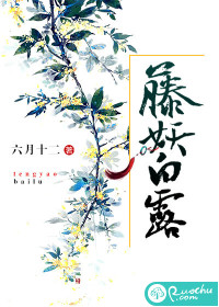 藤妖白露最新章节